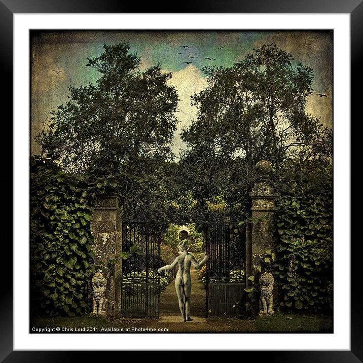 Hope Arrives At The Garden Gate Framed Mounted Print by Chris Lord