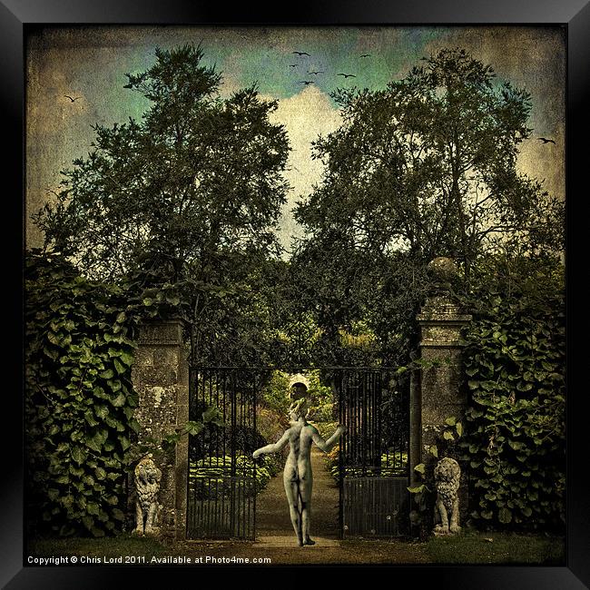 Hope Arrives At The Garden Gate Framed Print by Chris Lord