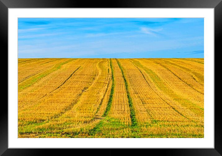 Ditchling Countryside Harvest Landscape Framed Mounted Print by Kenn Sharp