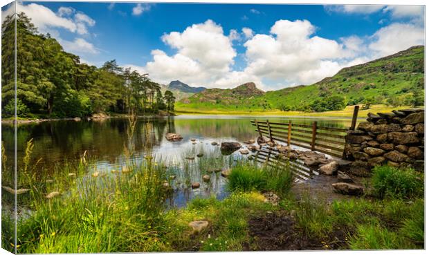 Blea Tarn Stone Wall Canvas Print by nick coombs