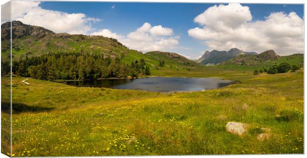 Blea Tarn Landscape Photography Canvas Print by nick coombs