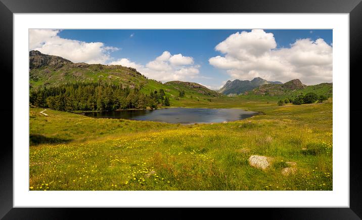 Blea Tarn Landscape Photography Framed Mounted Print by nick coombs