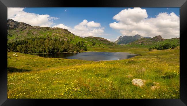 Blea Tarn Landscape Photography Framed Print by nick coombs