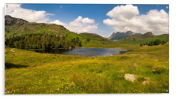 Blea Tarn Landscape Photography Acrylic by nick coombs