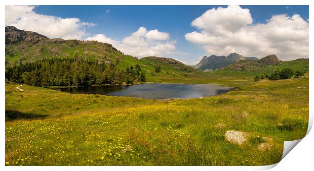 Blea Tarn Landscape Photography Print by nick coombs