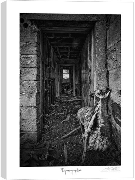 Life, Death, Decay: Black and White Journalism Canvas Print by JC studios LRPS ARPS
