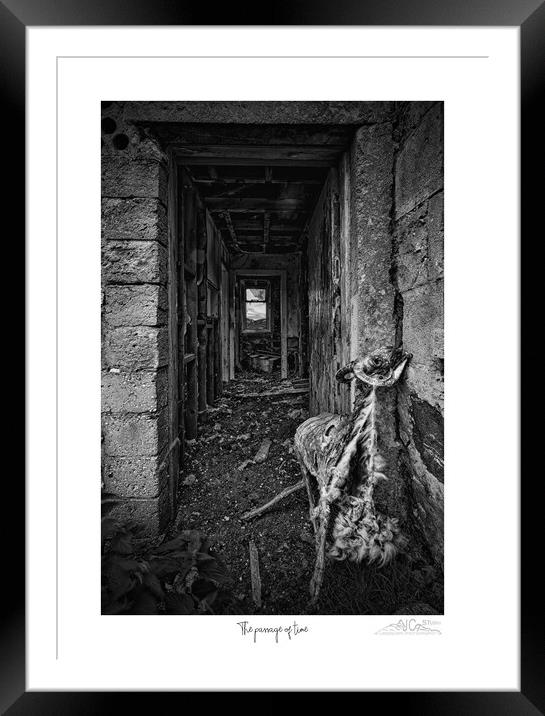 Life, Death, Decay: Black and White Journalism Framed Mounted Print by JC studios LRPS ARPS
