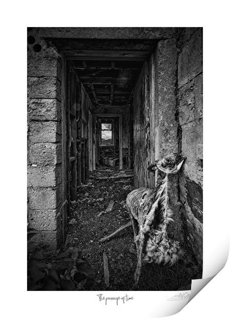 Life, Death, Decay: Black and White Journalism Print by JC studios LRPS ARPS