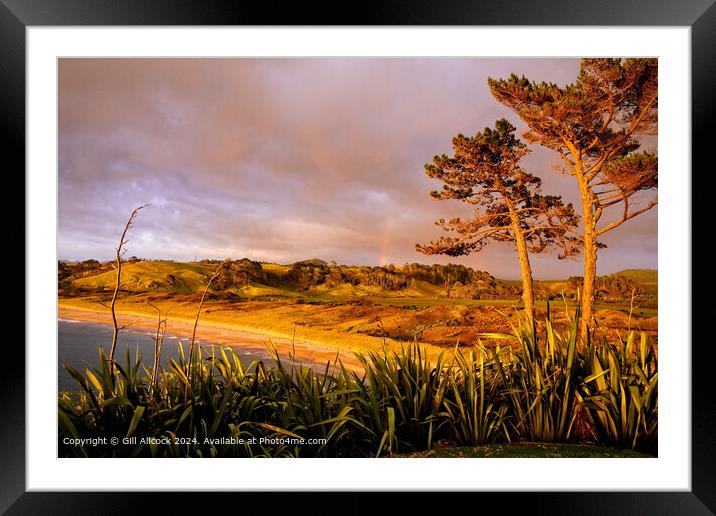Hot Water Beach Sunrise New Zealand Framed Mounted Print by Gill Allcock