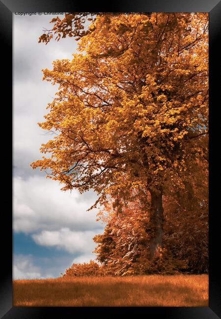 Forever Autumn Framed Print by Christine Lake