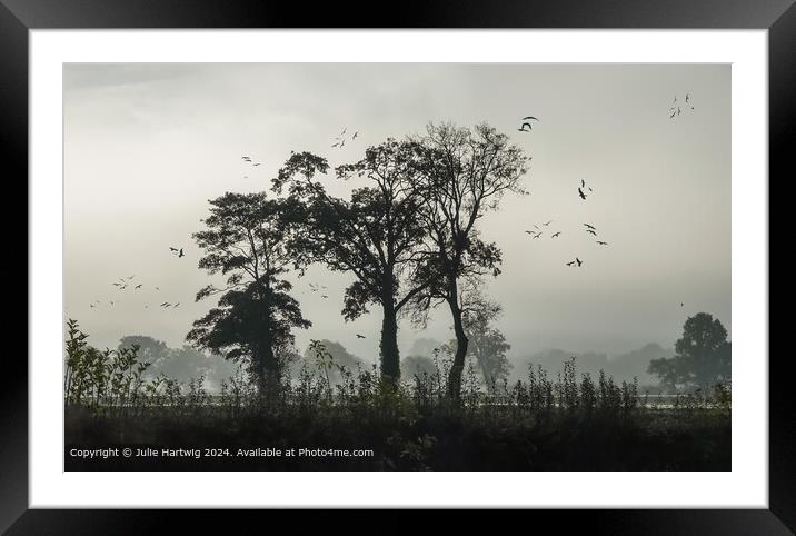 Foggy Morning Silhouette Framed Mounted Print by Julie Hartwig