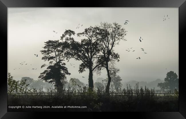 Foggy Morning Silhouette Framed Print by Julie Hartwig