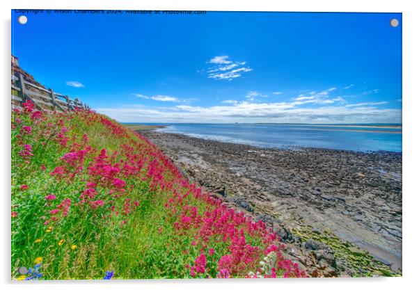 Northumberland Coastal Splendour  Acrylic by Alison Chambers