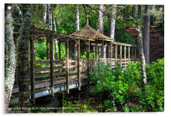Loch Dunmore Wooden Bridge Acrylic by Michael Birch