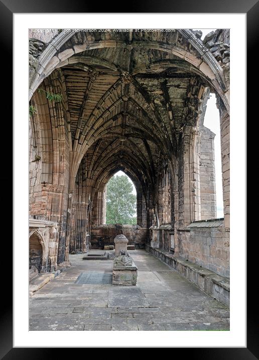 Elgin Cathedral Architecture Framed Mounted Print by Tom McPherson