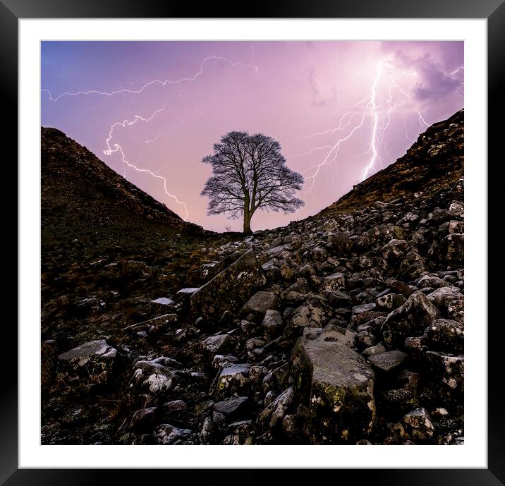 Sycamore Gap Hadrians Wall Framed Mounted Print by Tim Hill
