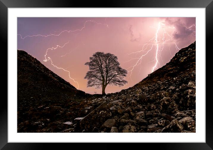 Sycamore Gap Hadrians Wall Framed Mounted Print by Tim Hill