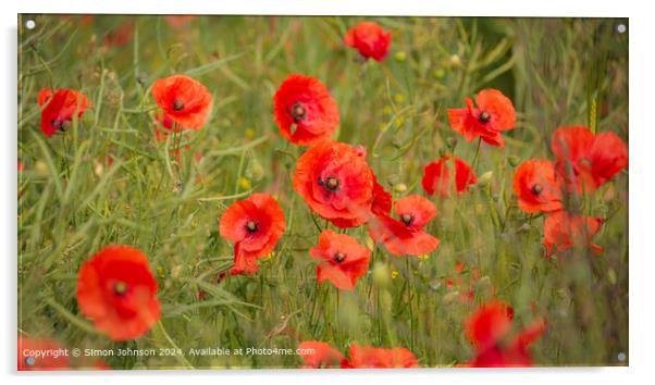 Sunlit Poppy Field in Cotswolds Acrylic by Simon Johnson