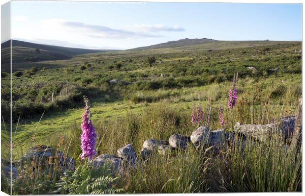 Dartmoor Foxglove Beauty Canvas Print by Kevin White