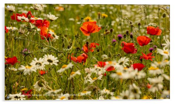 Sunlit Poppy Meadows Cotswolds Acrylic by Simon Johnson