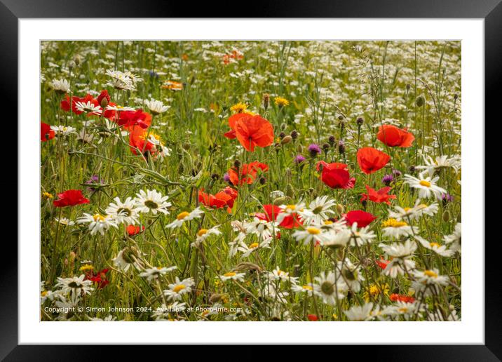 Sunlit Cotswolds Meadow Framed Mounted Print by Simon Johnson