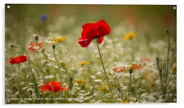 Sunlit Poppy Meadow, Cotswolds Acrylic by Simon Johnson