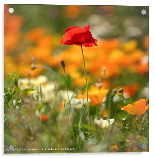 Poppy Field Landscape Cotswolds Acrylic by Simon Johnson