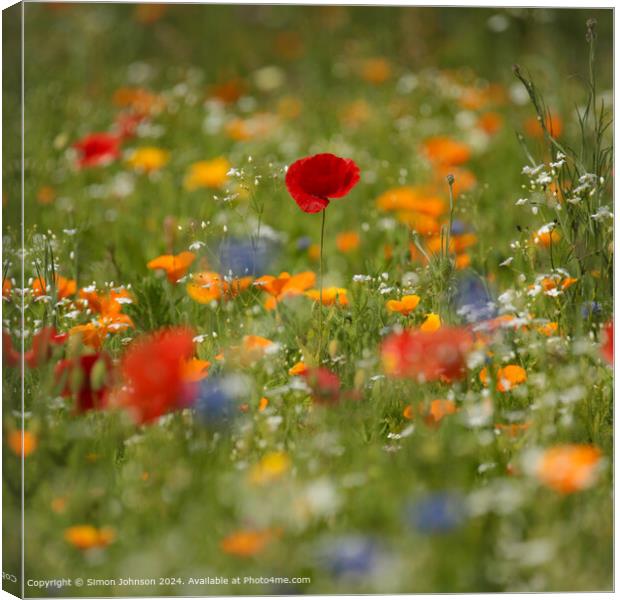 Vibrant Poppy Meadow in Cotswolds Canvas Print by Simon Johnson