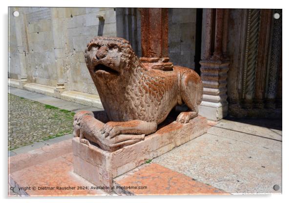 Modena Cathedral Lion Statue Acrylic by Dietmar Rauscher