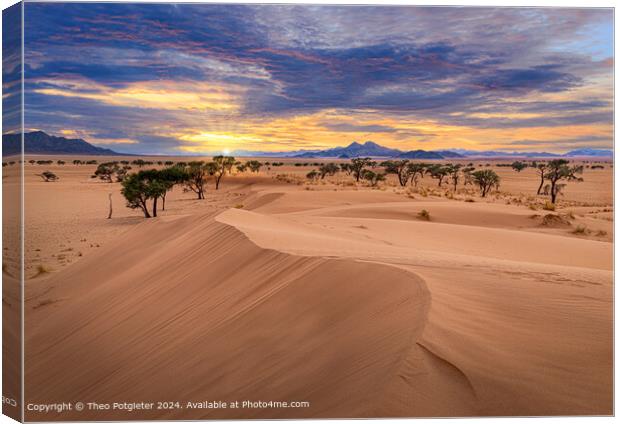 Namib Desert Sunrise Landscape Canvas Print by Theo Potgieter