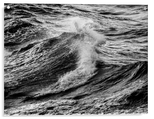 Dark waves Acrylic by Stephen Munn