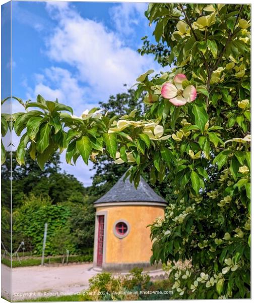 Garden shed and dogwood tree in Jardin des Plantes Canvas Print by Robert Galvin-Oliphant