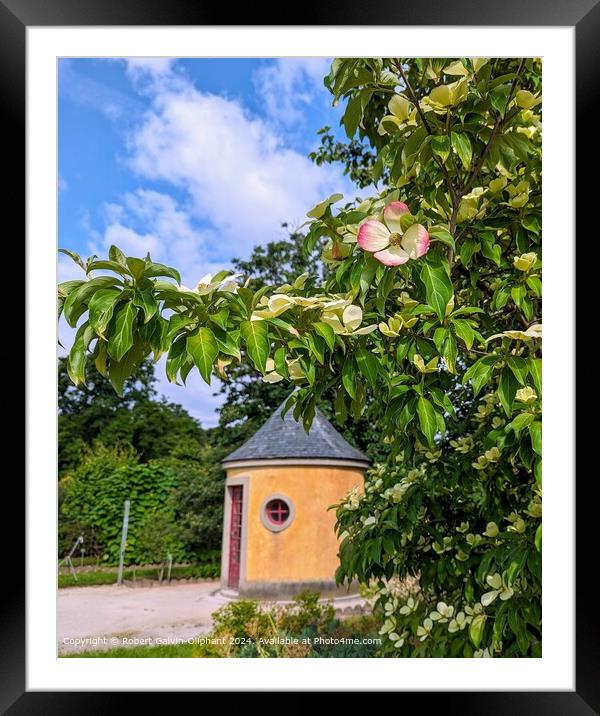 Garden shed and dogwood tree in Jardin des Plantes Framed Mounted Print by Robert Galvin-Oliphant