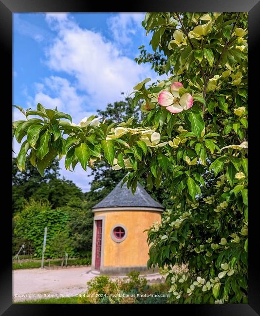 Garden shed and dogwood tree in Jardin des Plantes Framed Print by Robert Galvin-Oliphant
