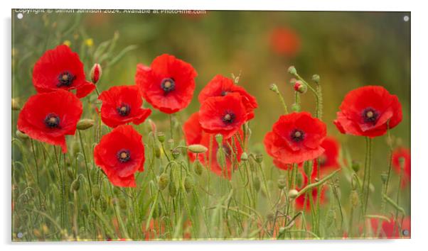 Poppy Row Cotswolds: Vibrant Nature Beauty Acrylic by Simon Johnson
