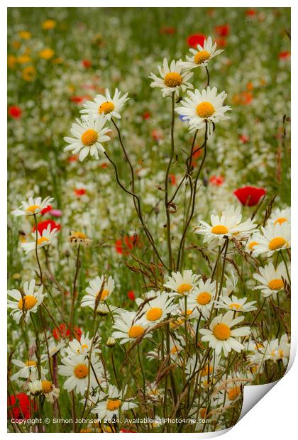 Wildflower Meadow Cotswolds Print by Simon Johnson
