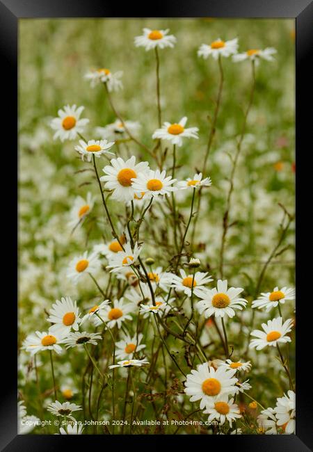 Meadow Flowers Cotswolds Nature Framed Print by Simon Johnson