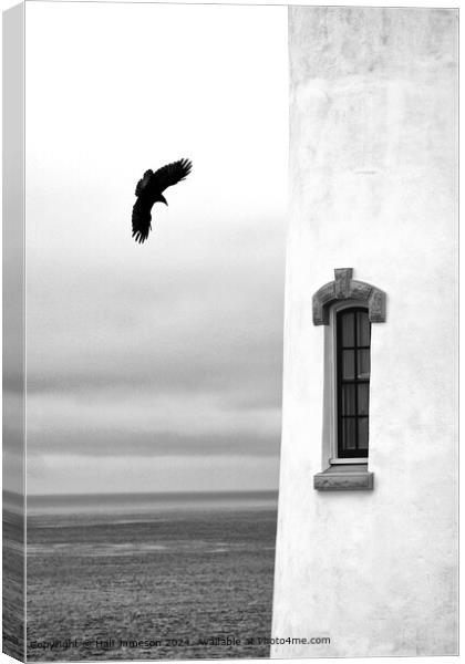 As the Crow Flies Canvas Print by Hall Jameson