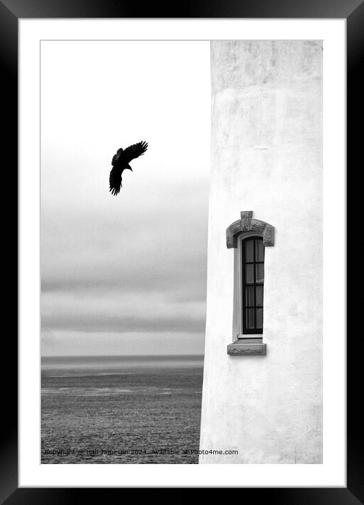 As the Crow Flies Framed Mounted Print by Hall Jameson