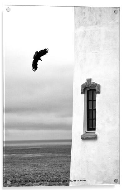 As the Crow Flies Acrylic by Hall Jameson