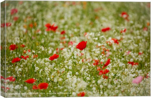 Poppies Meadow Cotswolds Canvas Print by Simon Johnson
