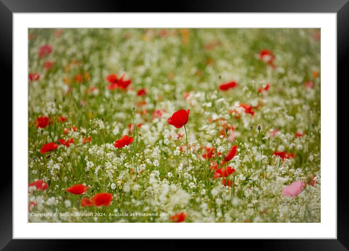 Poppies Meadow Cotswolds Framed Mounted Print by Simon Johnson