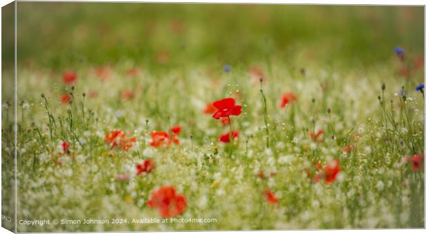 Vibrant Poppies and Meadow Flowers in the Cotswolds Canvas Print by Simon Johnson