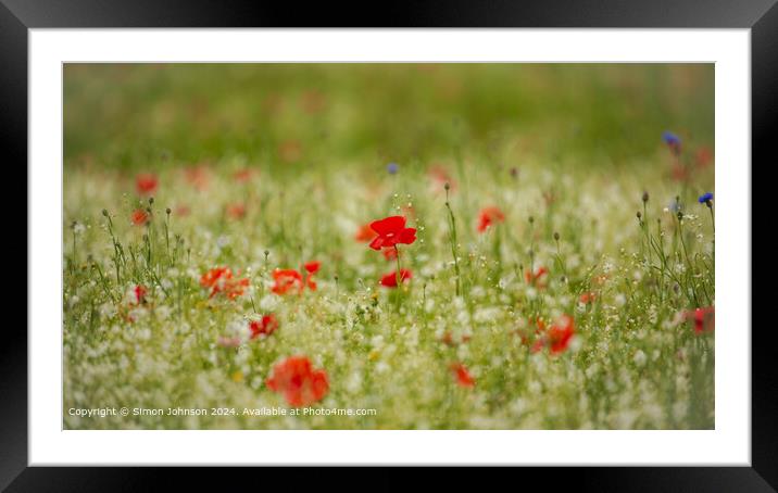 Vibrant Poppies and Meadow Flowers in the Cotswolds Framed Mounted Print by Simon Johnson