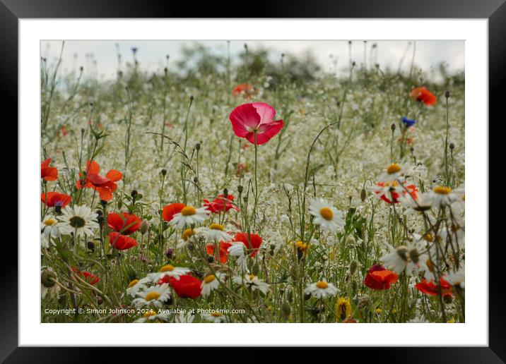 Pink Poppy Meadow, Cotswolds Framed Mounted Print by Simon Johnson