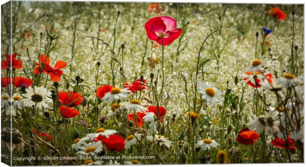 Pink Poppy Meadow, Cotswolds Canvas Print by Simon Johnson
