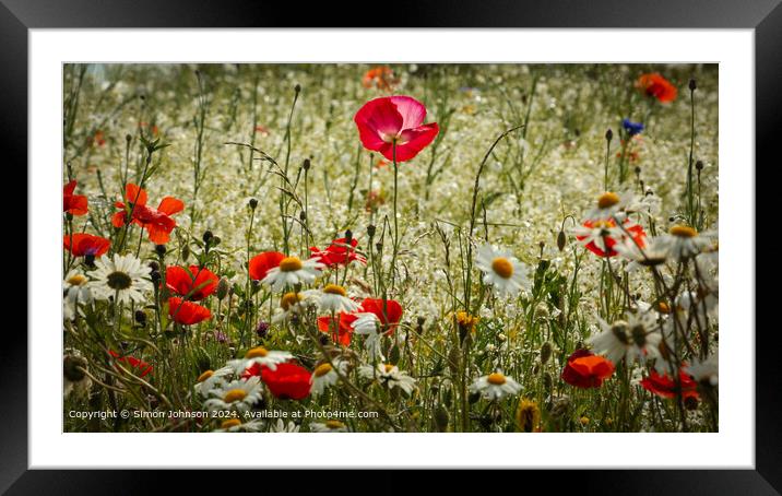 Pink Poppy Meadow, Cotswolds Framed Mounted Print by Simon Johnson