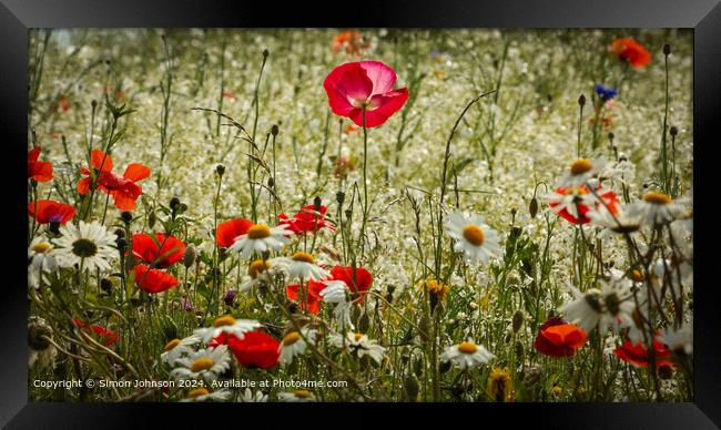 Pink Poppy Meadow, Cotswolds Framed Print by Simon Johnson