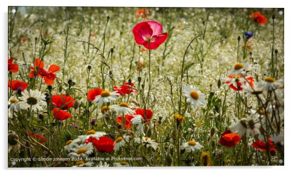 Pink Poppy Meadow, Cotswolds Acrylic by Simon Johnson