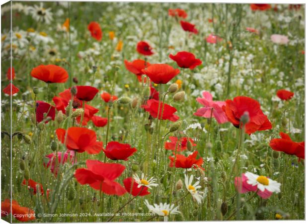 Summer Poppies  Meadow Cotswolds Canvas Print by Simon Johnson